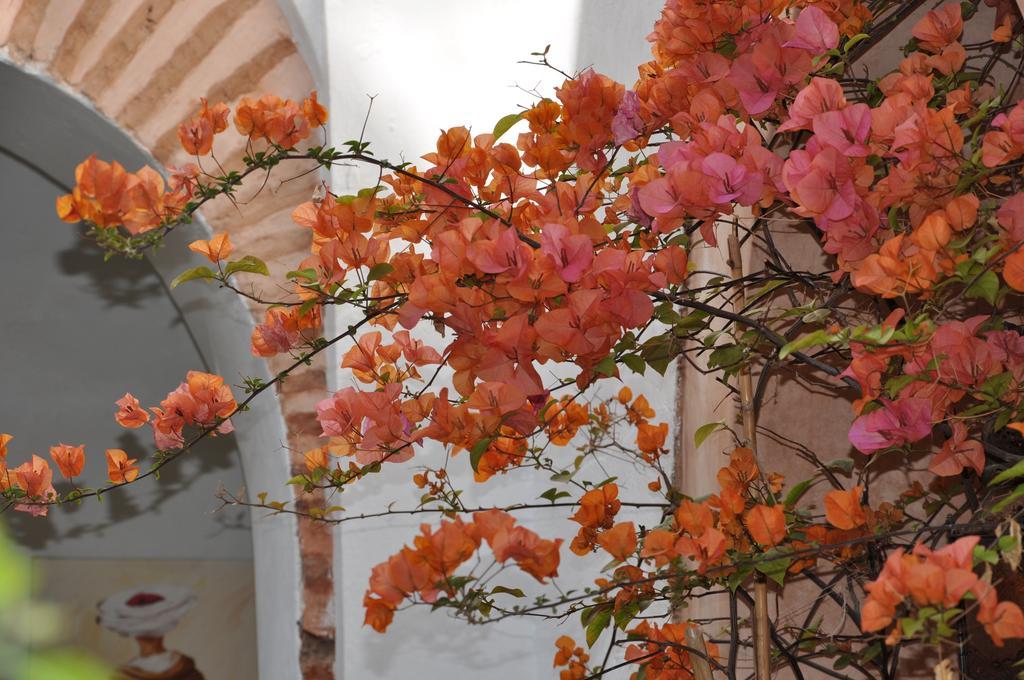 Ryad Dar Ganou Marrakesh Exterior foto