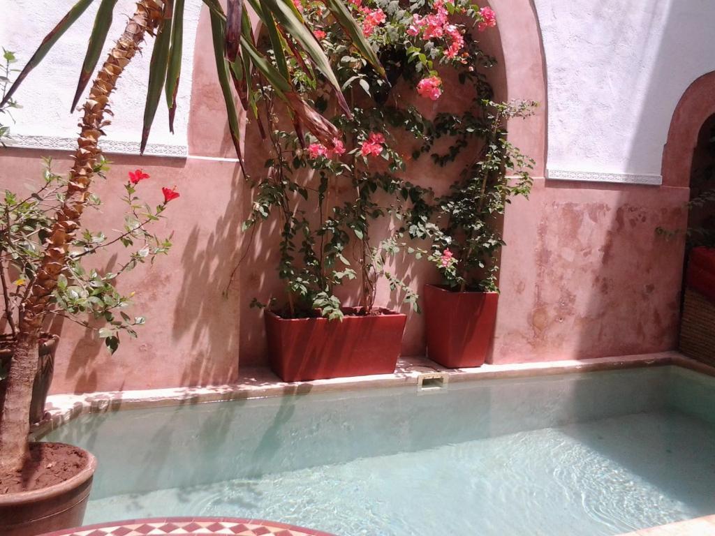 Ryad Dar Ganou Marrakesh Exterior foto